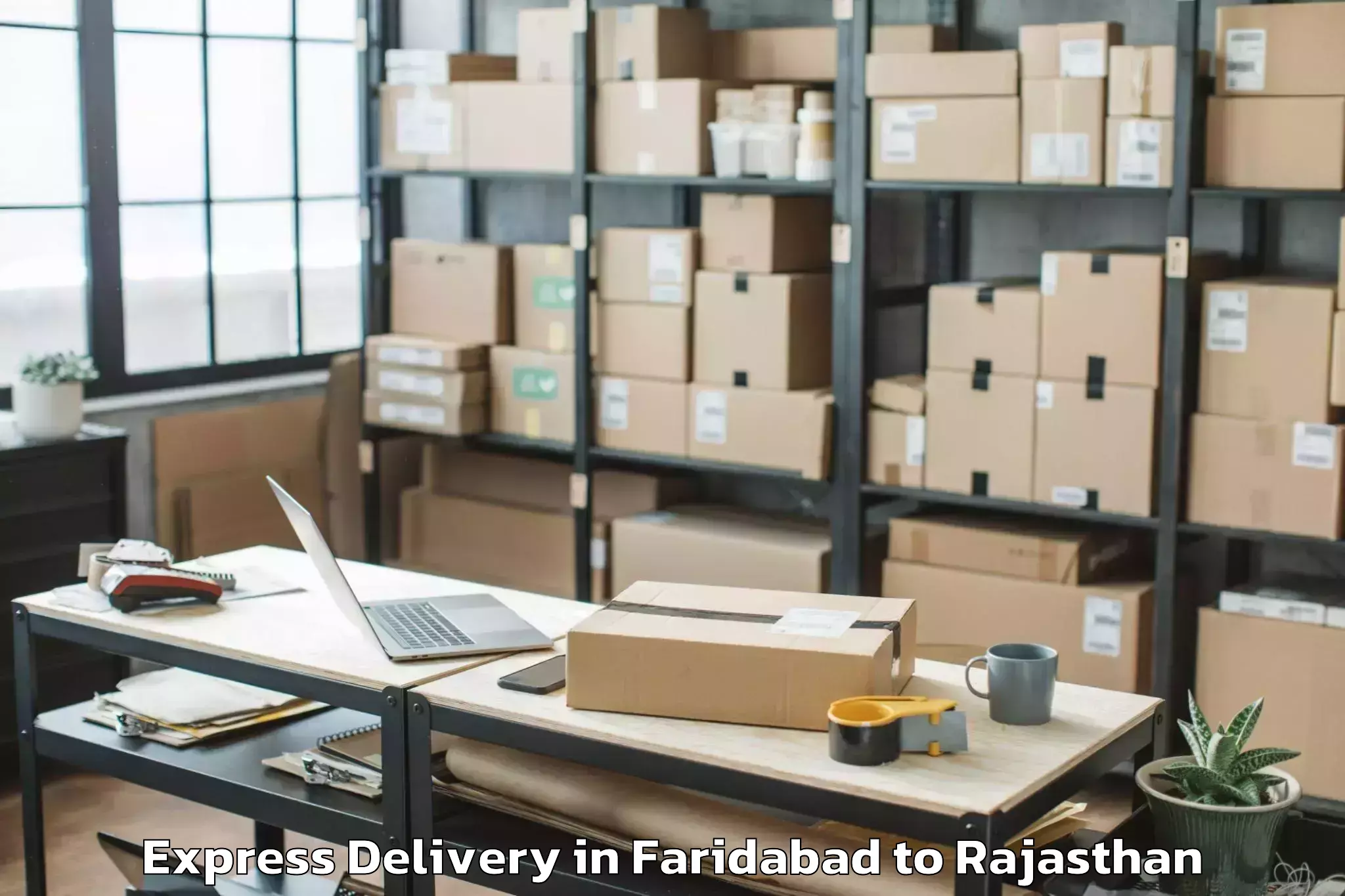 Hassle-Free Faridabad to Rajasthan University Of Veteri Express Delivery